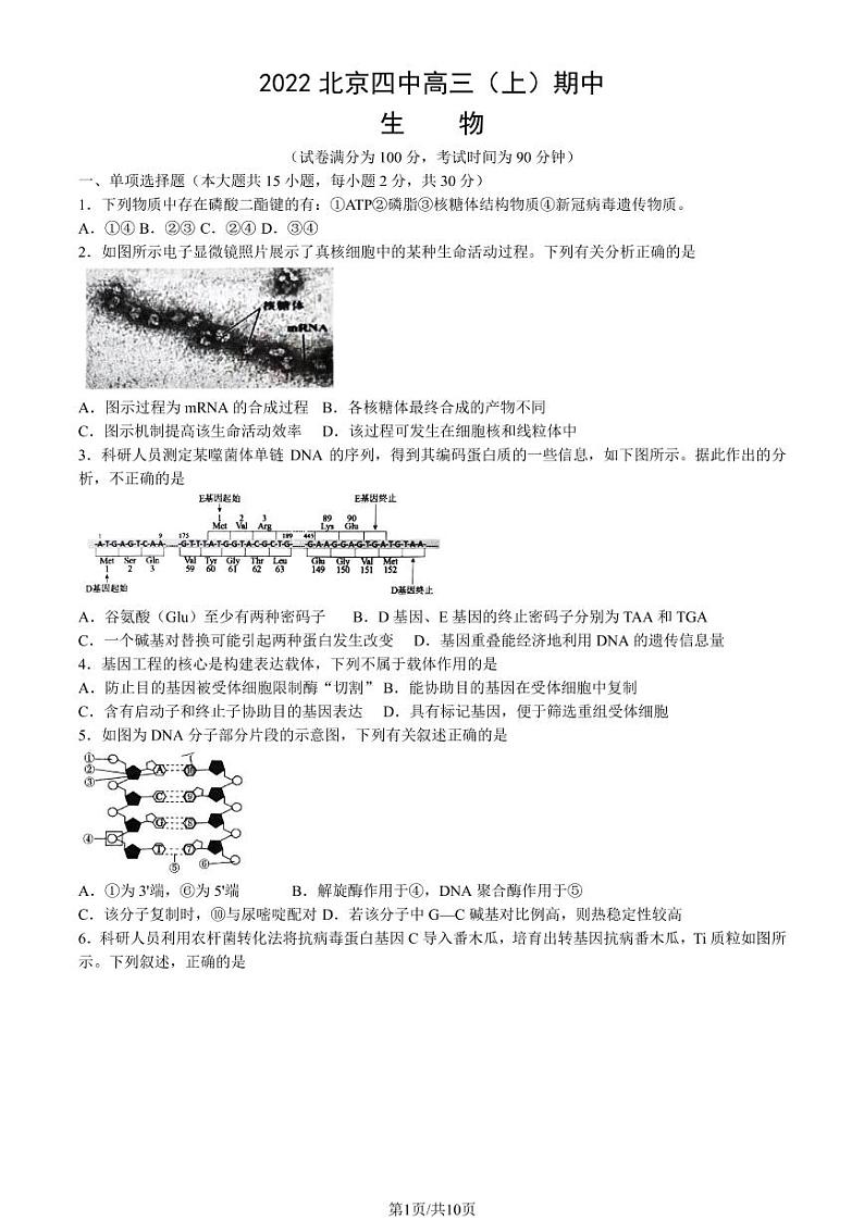 2022-2023学年北京四中高三期中生物试题及答案第1页