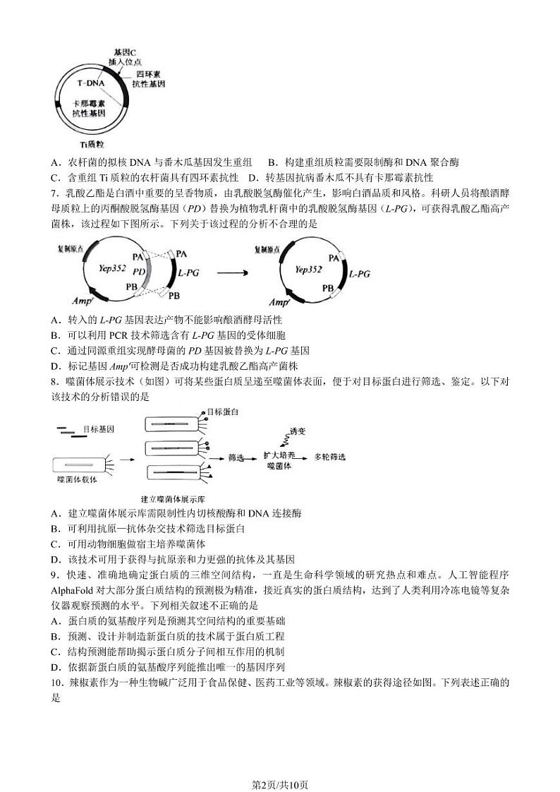 2022-2023学年北京四中高三期中生物试题及答案第2页