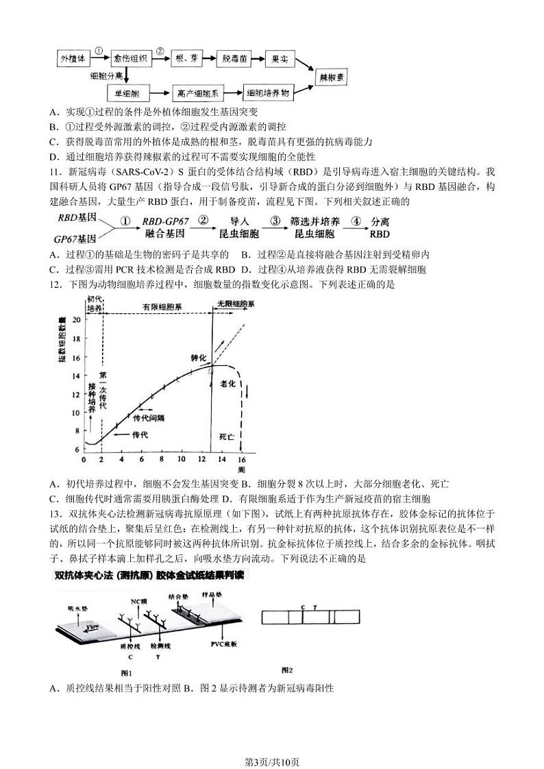 2022-2023学年北京四中高三期中生物试题及答案第3页