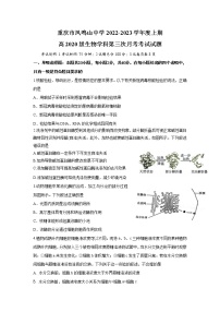 重庆市凤鸣山中学2023届高三生物上学期12月第三次月考试卷（Word版附答案）