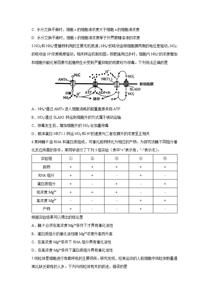 重庆市凤鸣山中学2023届高三生物上学期12月第三次月考试卷（Word版附答案）第2页