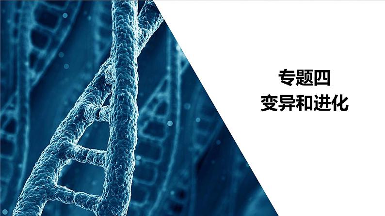 2023届高考生物二轮复习变异和进化课件(多项选择)第2页