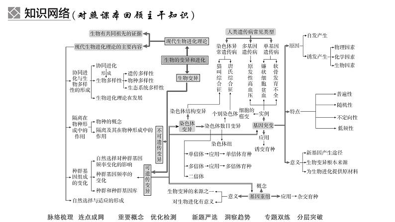 2023届高考生物二轮复习变异和进化课件(多项选择)第5页