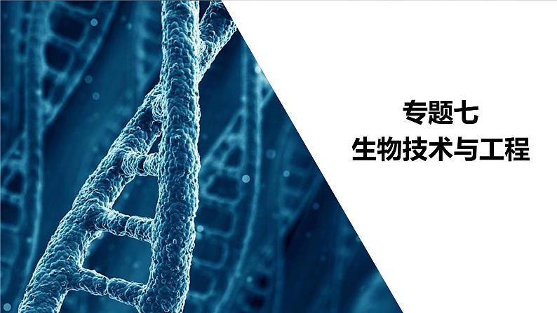 2023届高考生物二轮复习基因工程课件(多项选择)第2页