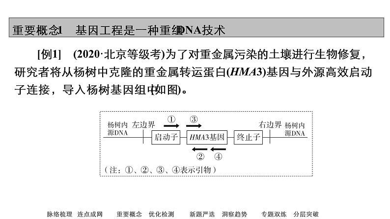 2023届高考生物二轮复习基因工程课件(多项选择)第8页