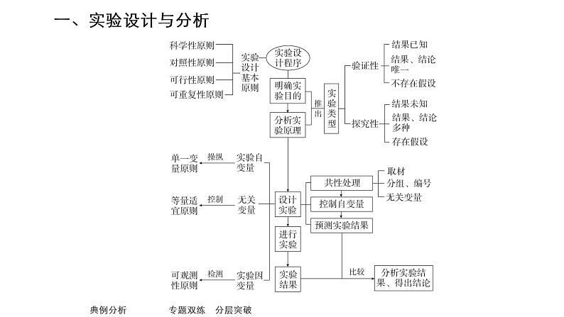 2023届高考生物二轮复习实验探究课件（不定项版）第4页