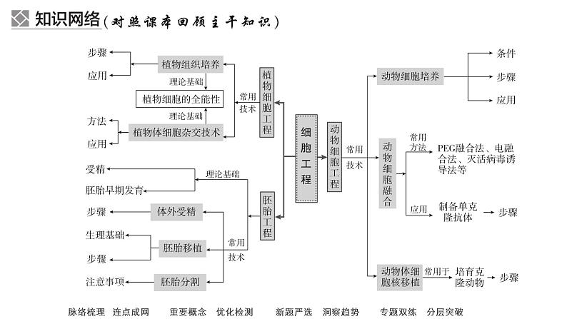 2023届高考生物二轮复习细胞工程课件(多项选择)第6页