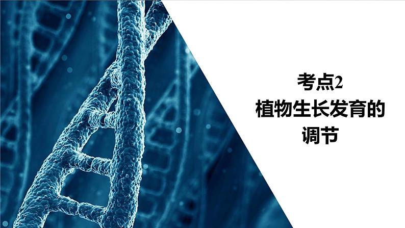 2023届高考生物二轮复习植物生长发育的调节课件(多项选择)第3页