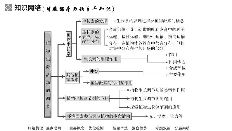 2023届高考生物二轮复习植物生长发育的调节课件(多项选择)第6页