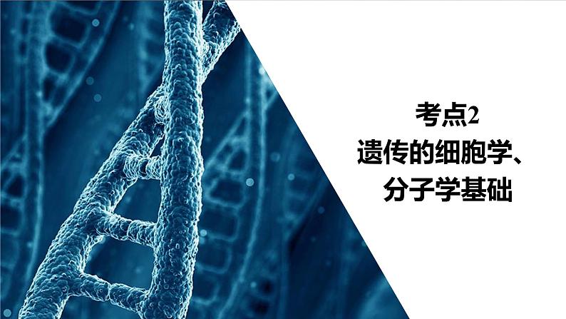 2023届高考生物二轮复习遗传的细胞学、分子学基础课件(多项选择)第3页