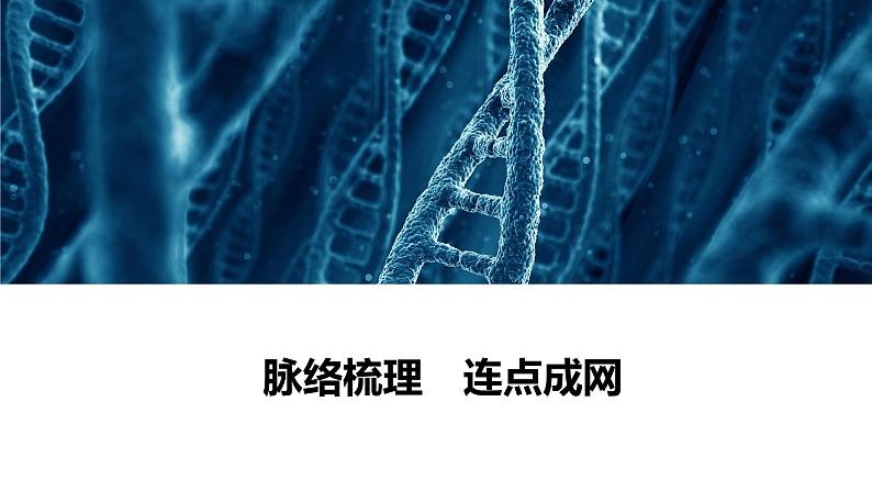 2023届高考生物二轮复习遗传的细胞学、分子学基础课件(多项选择)第4页