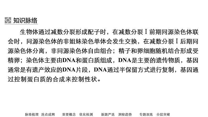 2023届高考生物二轮复习遗传的细胞学、分子学基础课件(多项选择)第5页