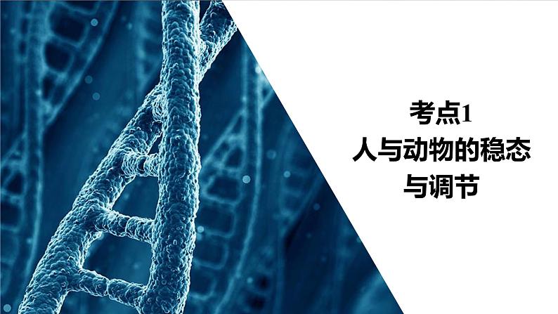 2023届高考生物二轮复习人与动物的稳态与调节课件(多项选择)第3页