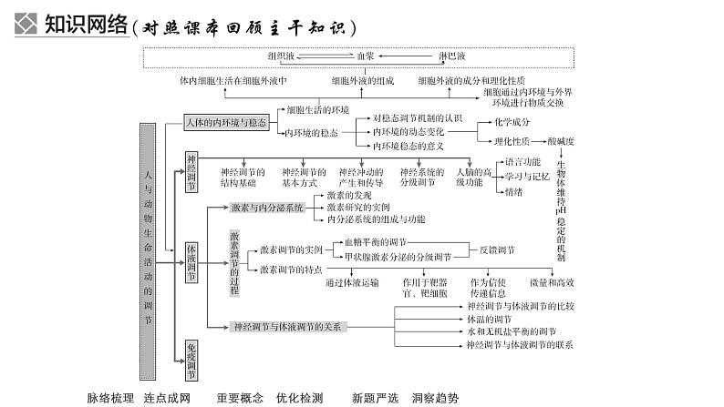 2023届高考生物二轮复习人与动物的稳态与调节课件(多项选择)第6页