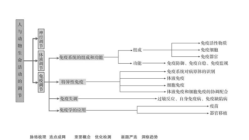 2023届高考生物二轮复习人与动物的稳态与调节课件(多项选择)第7页