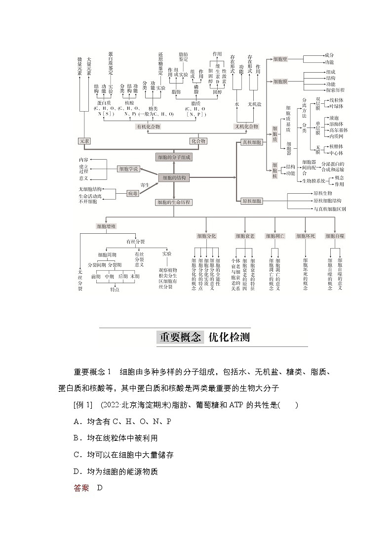 2023届高考生物二轮复习细胞分子组成、结构和生命历程学案02