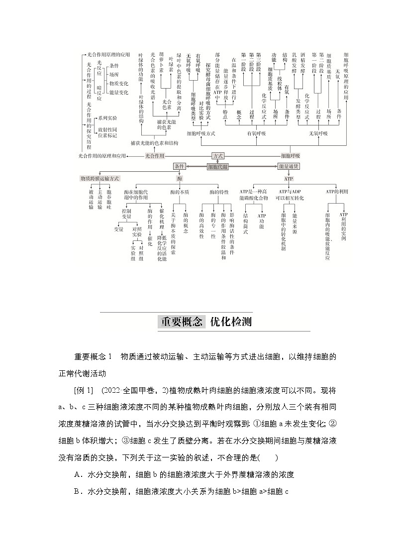 2023届高考生物二轮复习细胞物质和能量代谢学案 （不定项）02