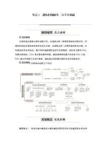 2023届高考生物二轮复习遗传的细胞学、分子学基础学案 （不定项）