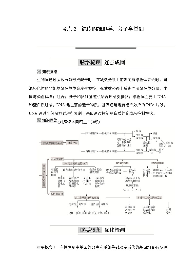 2023届高考生物二轮复习遗传的细胞学、分子学基础学案 （不定项）第1页