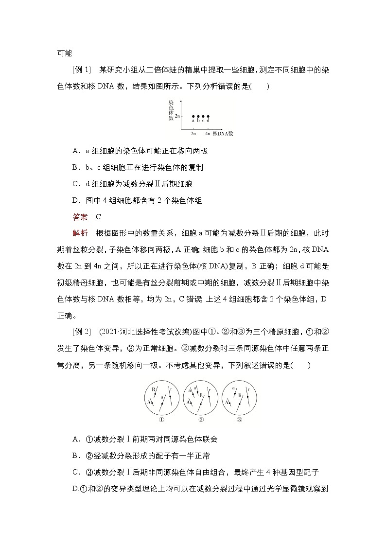2023届高考生物二轮复习遗传的细胞学、分子学基础学案 （不定项）第2页