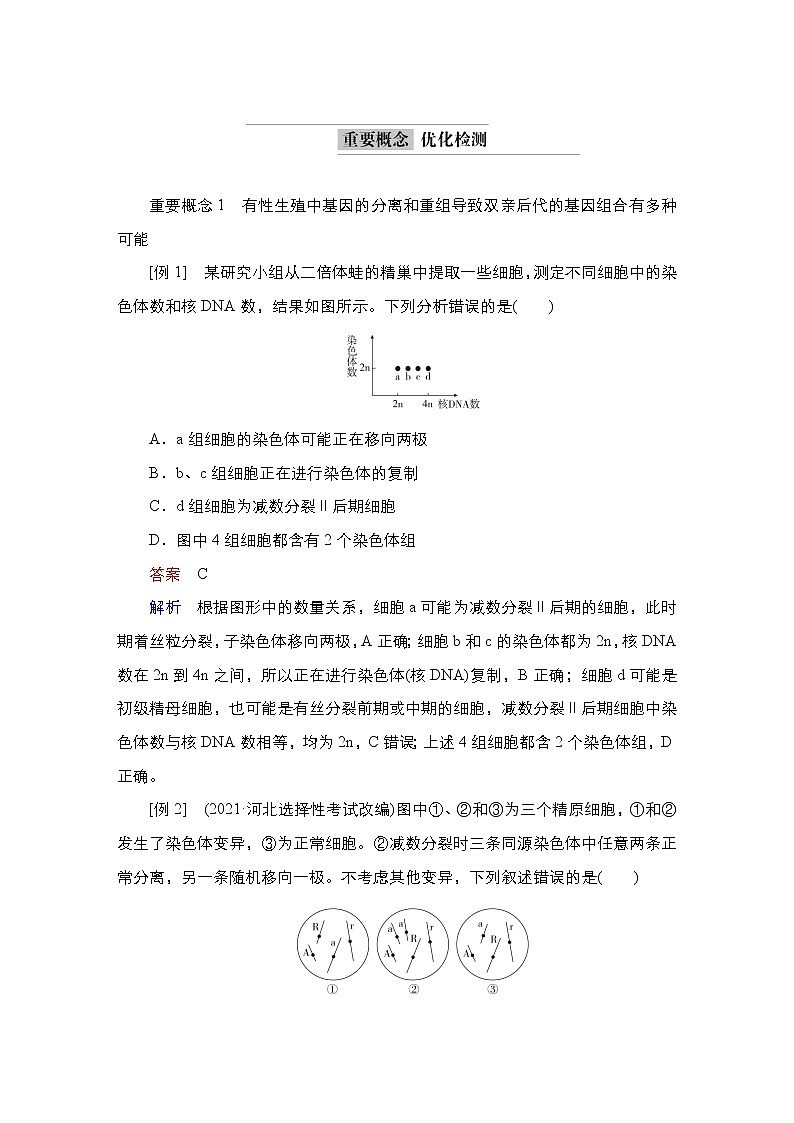 2023届高考生物二轮复习遗传的细胞学、分子学基础学案（多项选择版）第2页