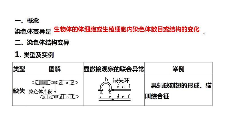 2022届高三生物一轮复习课件： 染色体结构和数目变异第3页