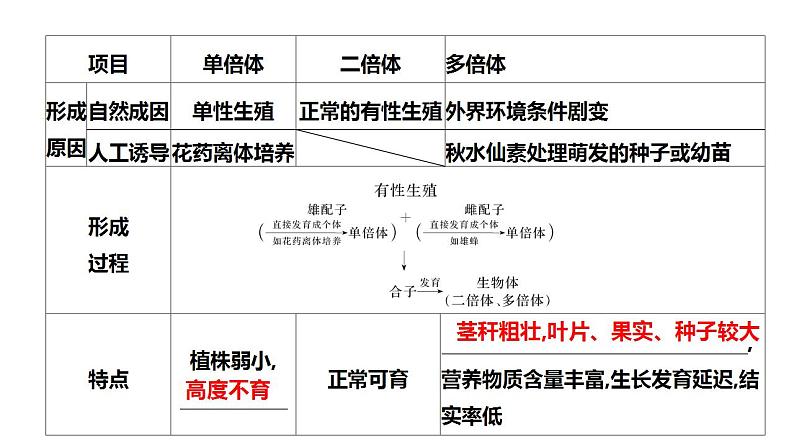 2022届高三生物一轮复习课件： 染色体结构和数目变异第7页