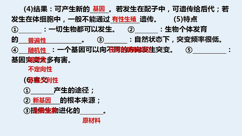 2022届高三生物一轮复习课件：基因突变与细胞的癌变第4页