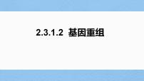 2022届高三生物一轮复习课件：基因重组