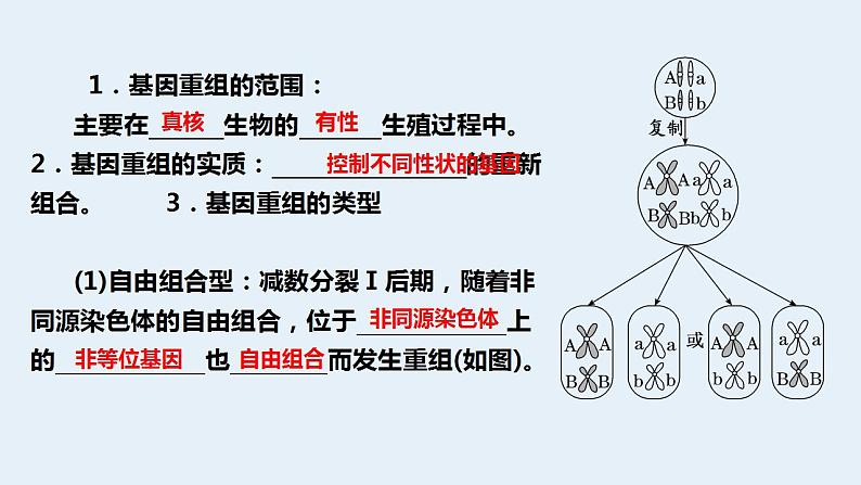 2022届高三生物一轮复习课件：基因重组第2页