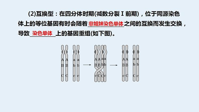 2022届高三生物一轮复习课件：基因重组第3页