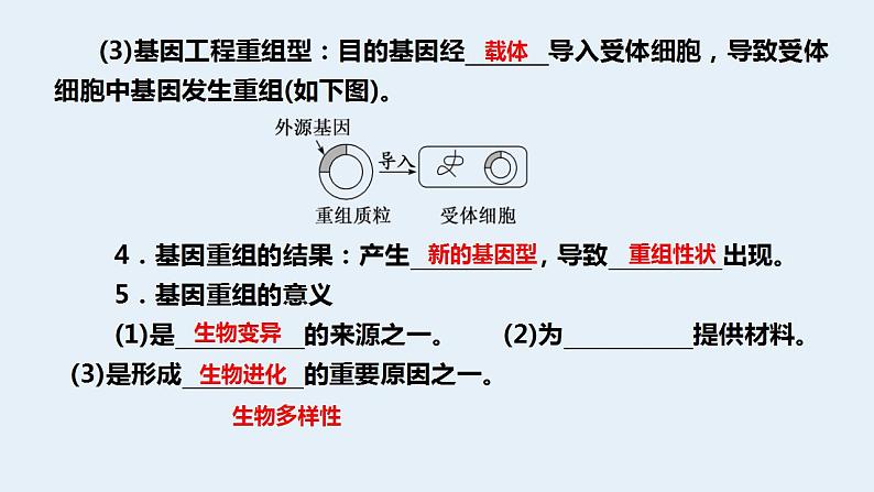 2022届高三生物一轮复习课件：基因重组第4页