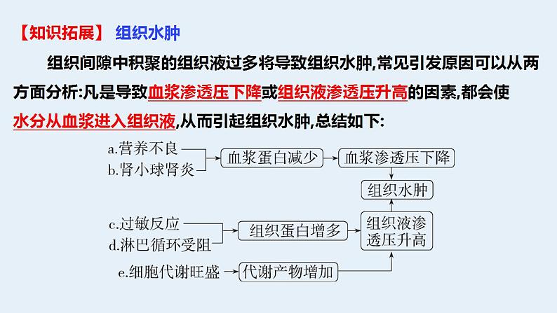 2022届高三生物一轮复习课件：内环境的稳态第6页