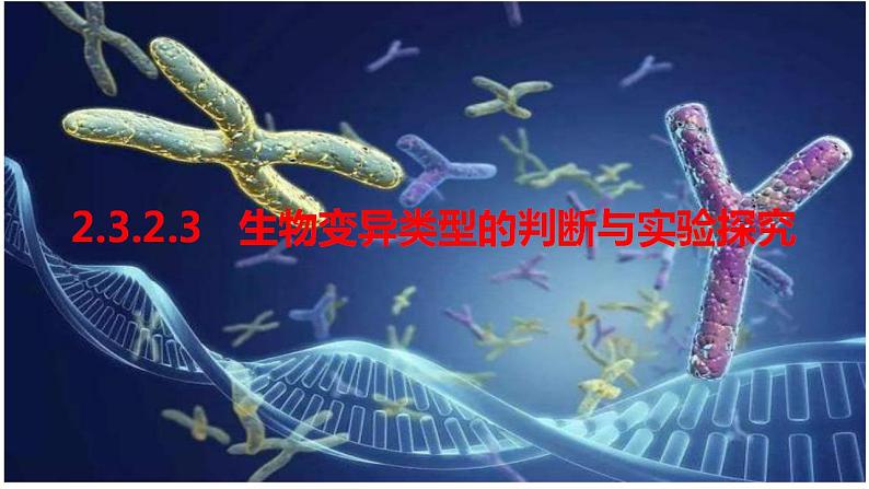 2022届高三生物一轮复习课件：生物变异类型的判断与实验探究01
