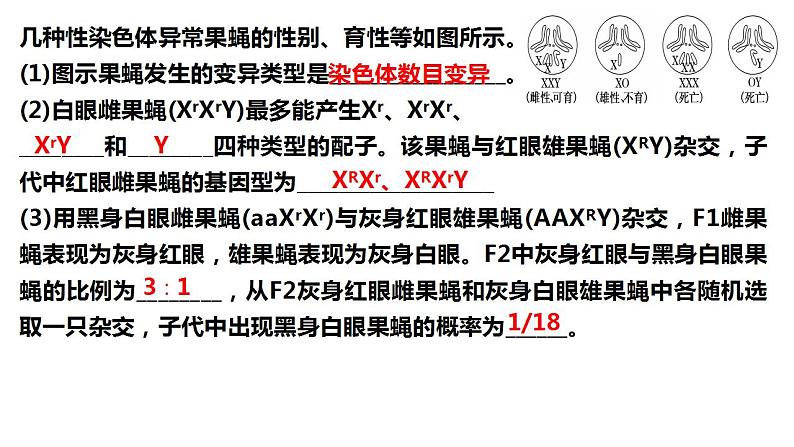 2022届高三生物一轮复习课件：生物变异类型的判断与实验探究02