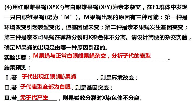 2022届高三生物一轮复习课件：生物变异类型的判断与实验探究03