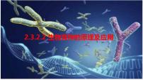 2022届高三生物一轮复习课件：生物育种的原理及应用(3)