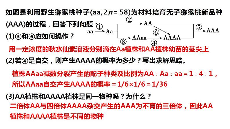 2022届高三生物一轮复习课件：生物育种的原理及应用(3)第2页