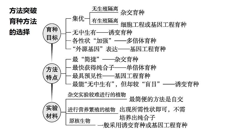 2022届高三生物一轮复习课件：生物育种的原理及应用(3)第8页