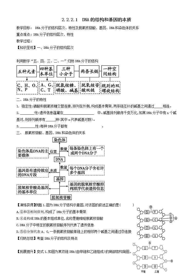 2023届高三生物一轮复习教案DNA的结构和基因的本质第1页
