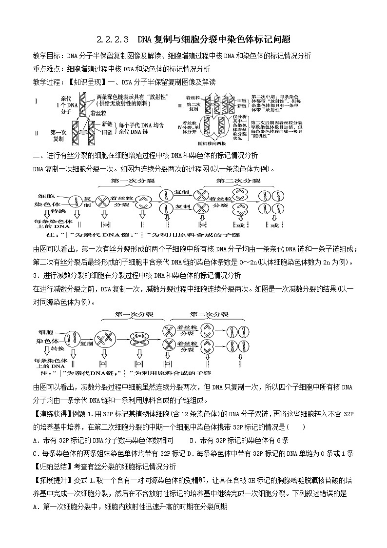 2023届高三生物一轮复习教案DNA复制与细胞分裂中染色体标记问题第1页