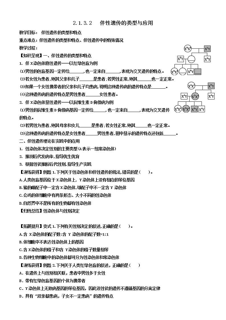 2023届高三生物一轮复习教案伴性遗传的类型与应用第1页