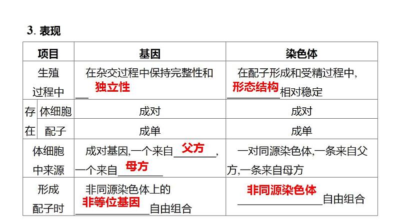 2023届高三生物一轮复习课件  基因在染色体上的假说与证据第3页