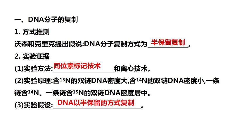 2023届高三生物一轮复习课件 DNA分子的复制及相关计算第2页