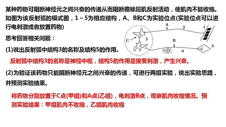 2023届高三生物一轮复习课件：神经调节的基本方式和结构基础第2页