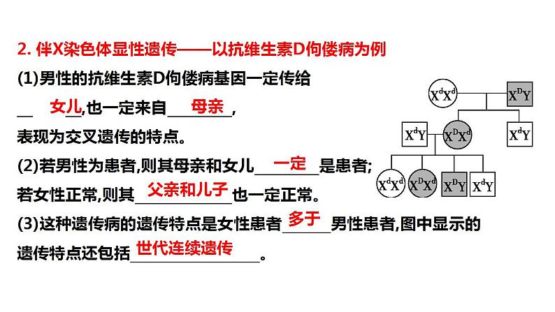 2023届高三生物一轮复习课件伴性遗传的类型与应用第3页