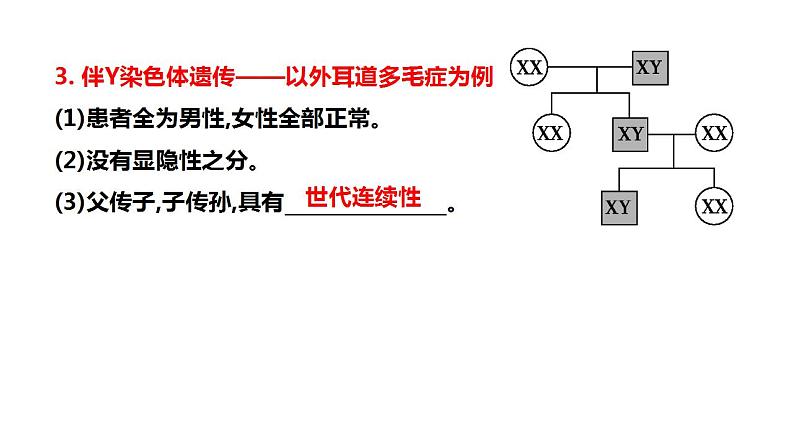 2023届高三生物一轮复习课件伴性遗传的类型与应用第4页