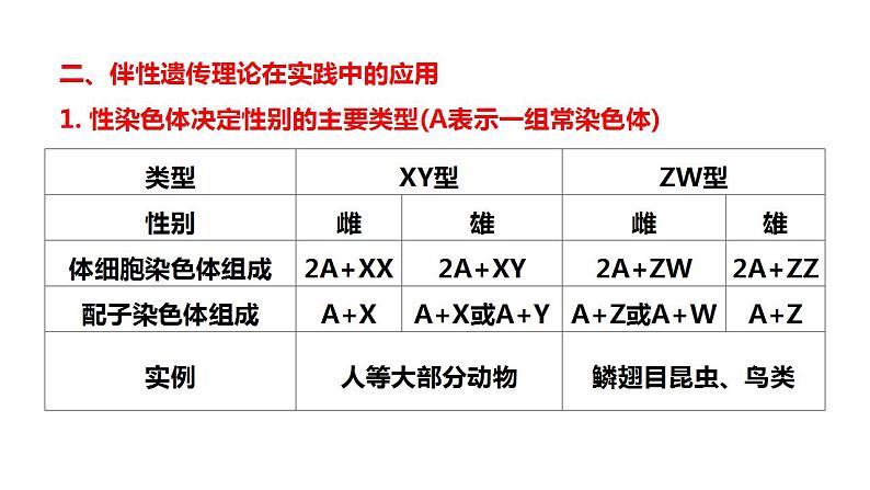 2023届高三生物一轮复习课件伴性遗传的类型与应用第5页