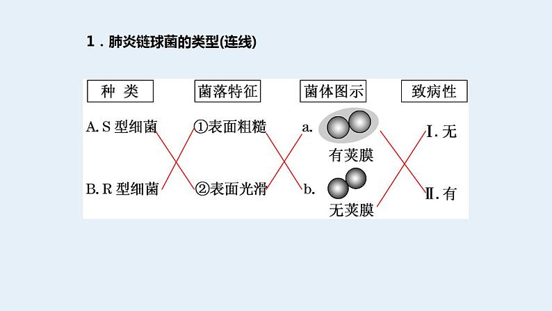 2023届高三生物一轮复习课件肺炎链球菌的转化实验第2页