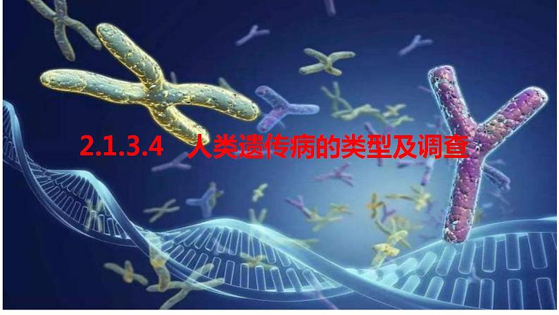 2023届高三生物一轮复习课件人类遗传病的类型及调查第1页